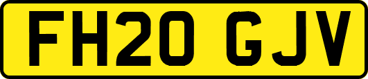FH20GJV