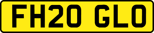FH20GLO
