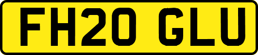 FH20GLU