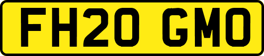 FH20GMO