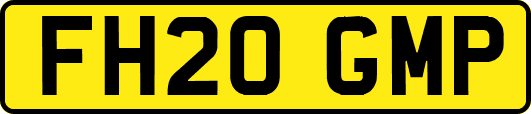 FH20GMP
