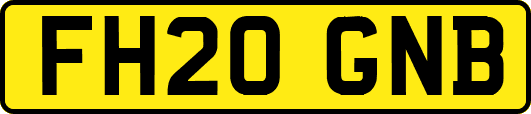 FH20GNB