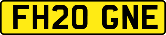 FH20GNE