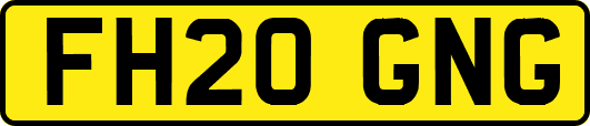 FH20GNG