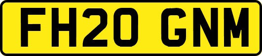 FH20GNM