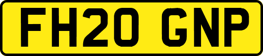 FH20GNP