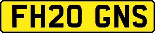 FH20GNS
