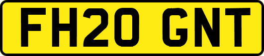 FH20GNT