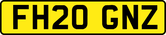 FH20GNZ