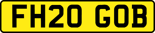 FH20GOB