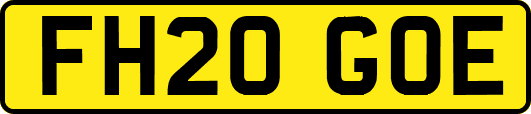 FH20GOE