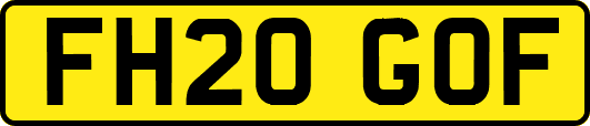 FH20GOF