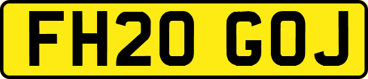 FH20GOJ