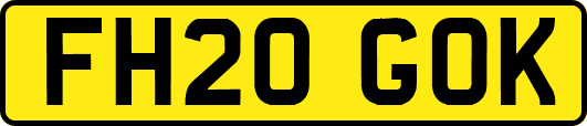 FH20GOK