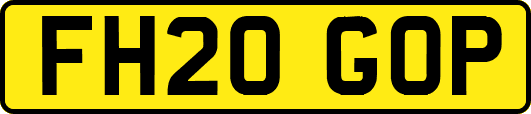 FH20GOP