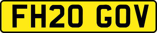 FH20GOV