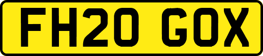 FH20GOX