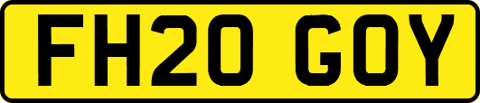 FH20GOY