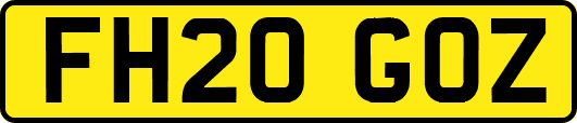 FH20GOZ