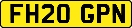 FH20GPN