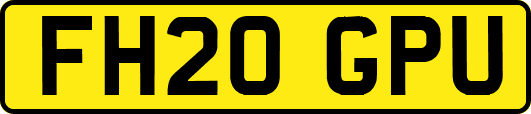 FH20GPU