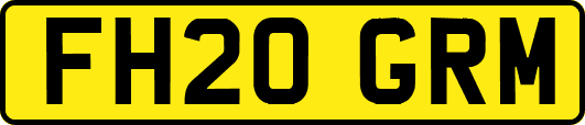 FH20GRM