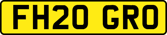 FH20GRO