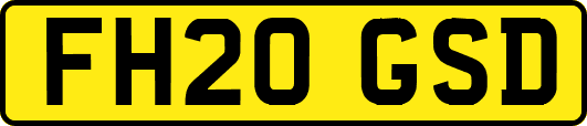 FH20GSD