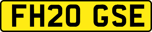 FH20GSE