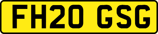 FH20GSG