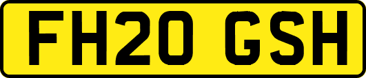 FH20GSH
