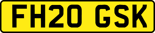 FH20GSK