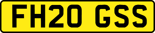 FH20GSS