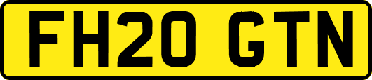 FH20GTN
