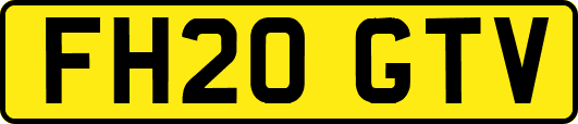 FH20GTV