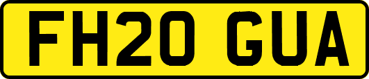 FH20GUA
