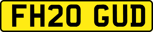 FH20GUD