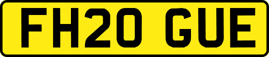 FH20GUE