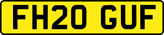 FH20GUF