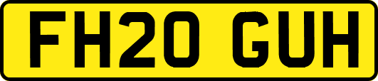 FH20GUH