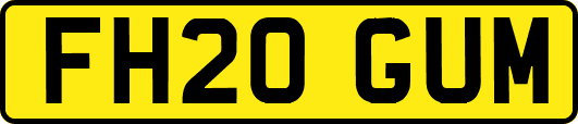 FH20GUM
