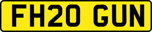 FH20GUN