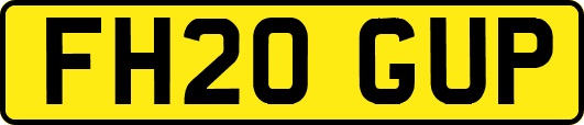 FH20GUP