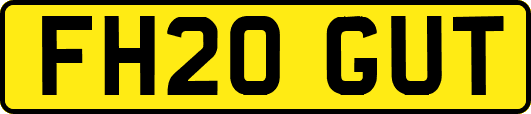 FH20GUT