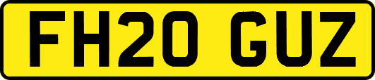 FH20GUZ