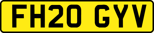 FH20GYV
