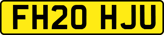 FH20HJU