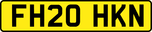 FH20HKN