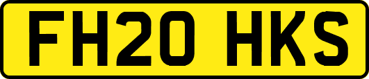 FH20HKS
