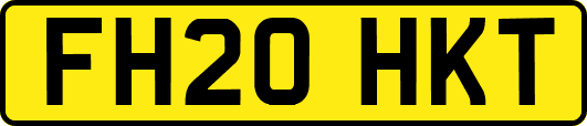 FH20HKT